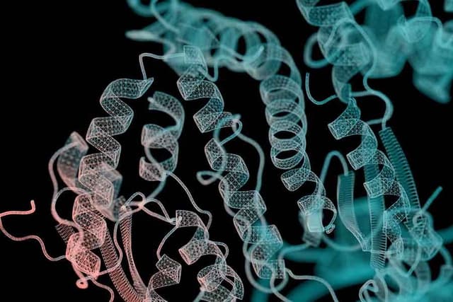 Protein ribbon structure